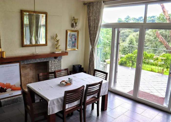 Lamrin Norwood Green Palampur