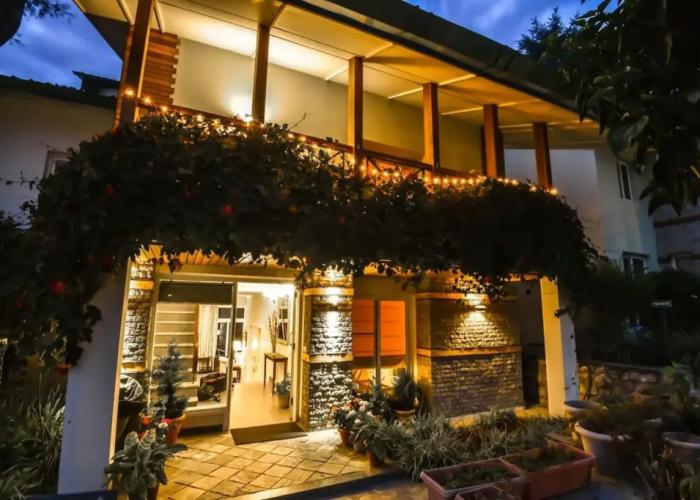 Lamrin Norwood Green Palampur