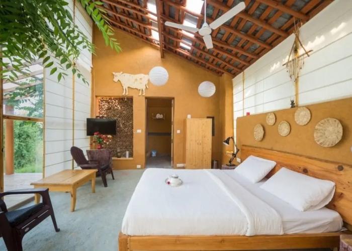 Seclude Palampur - Himachal Pradesh