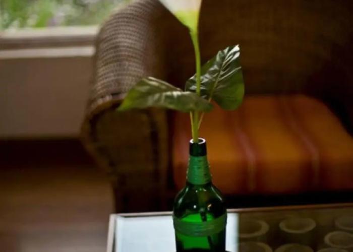 Seclude Palampur - Himachal Pradesh