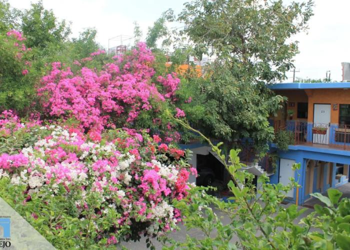 Hotel Hacienda del Viejo