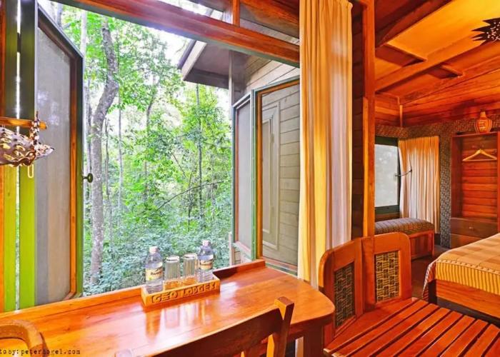 Rainforest Lodge Mabira by GEO