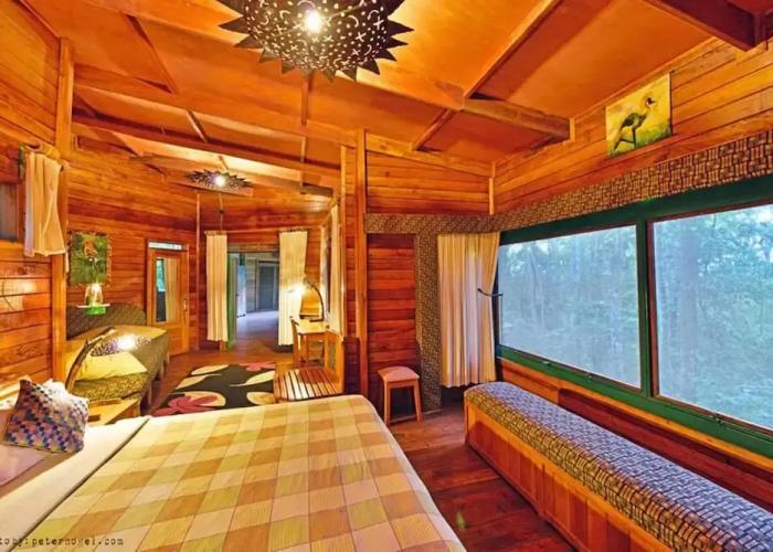Rainforest Lodge Mabira by GEO