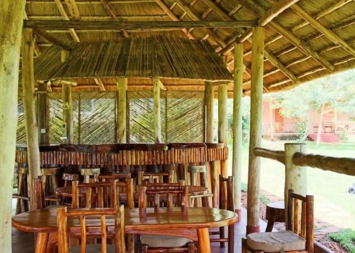 Bushbaby Lodge