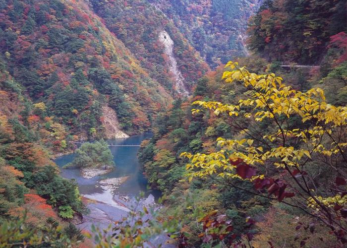 Sumatakyo Onsen Suikoen