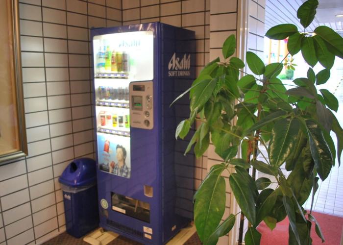 Sky Hotel Uozu Annex