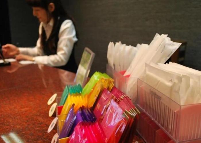 Sky Hotel Uozu Annex