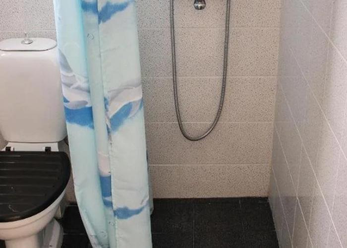 Blue Dolphin Studios & Apartment