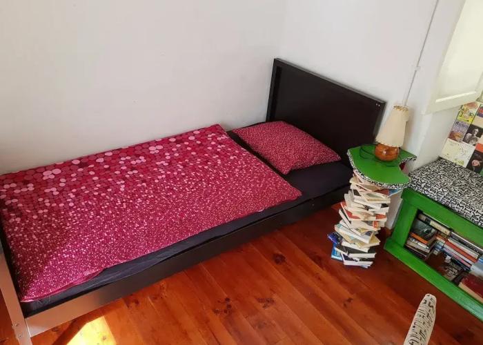Ratones de Biblioteca - Hostel