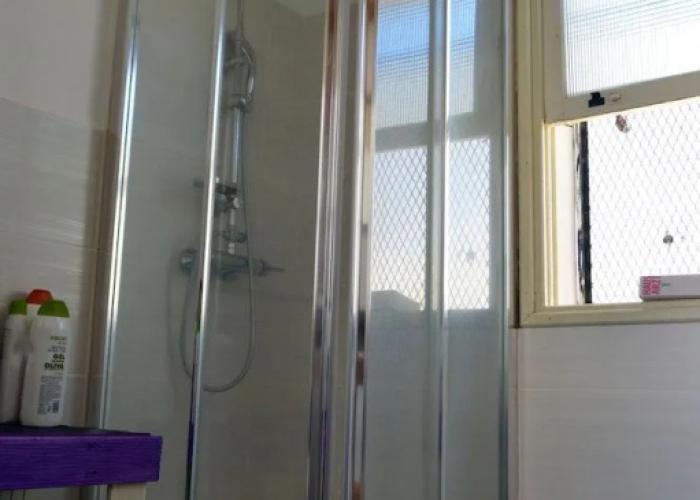 Ratones de Biblioteca - Hostel