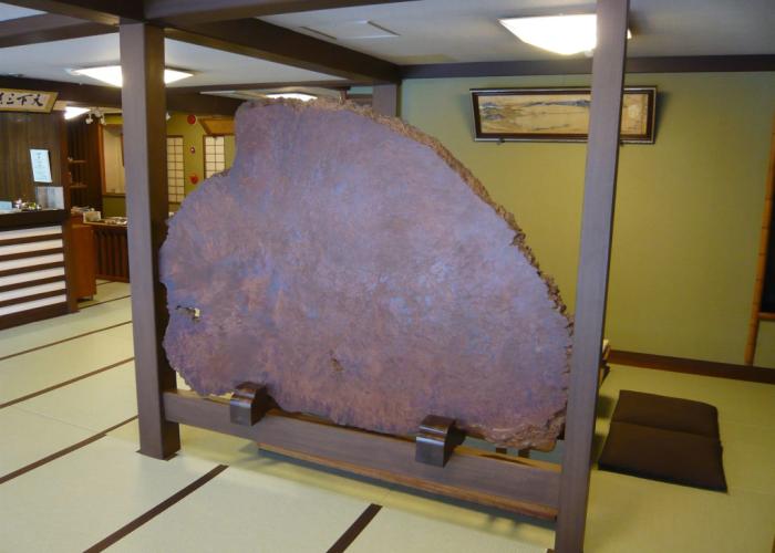 Seikiro Ryokan Historical Museum Hotel