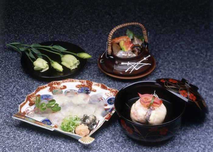 Seikiro Ryokan Historical Museum Hotel
