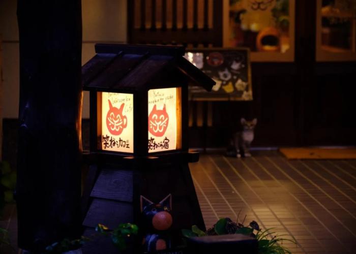 Yufuin Waraneko no Yado