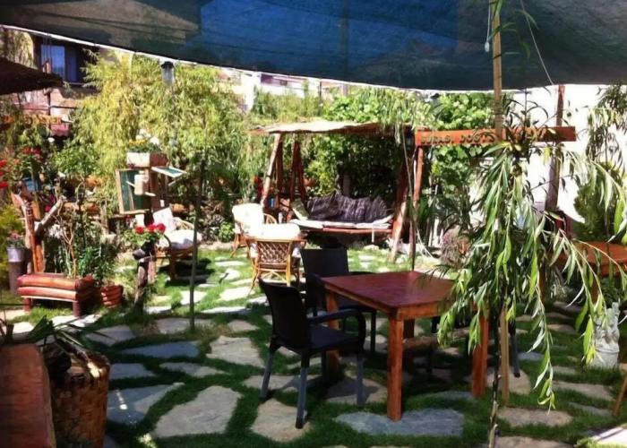 Ala Otel Konukevi Agva