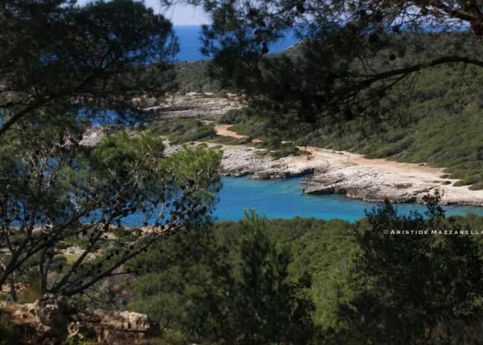 Dimora Villa Serena Porto Selvaggio