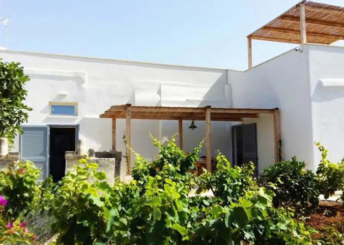 Casale alle Vigne