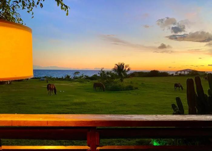 Blue Horizon Boutique Resort - Adults Only
