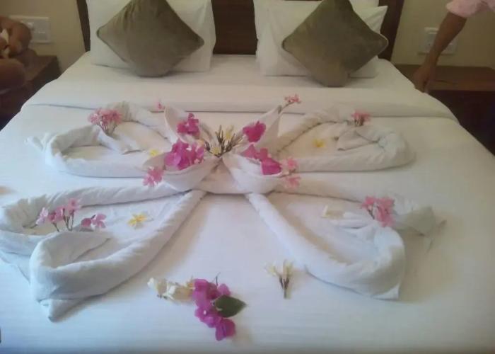 Coco Goa Villa By Savani Enterprise