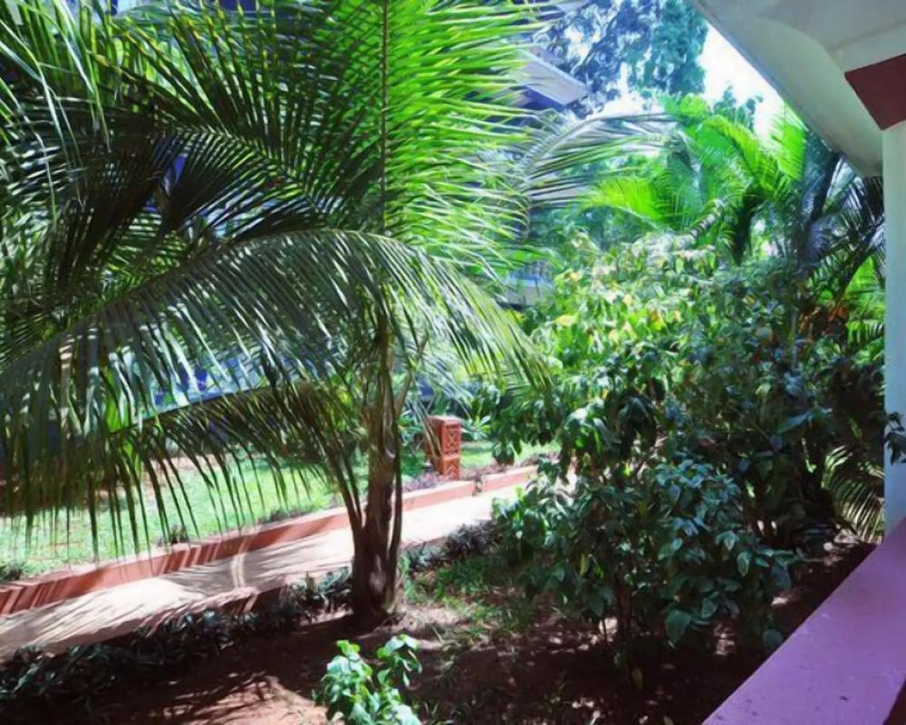 фото Calux Joia Do Mar Resort