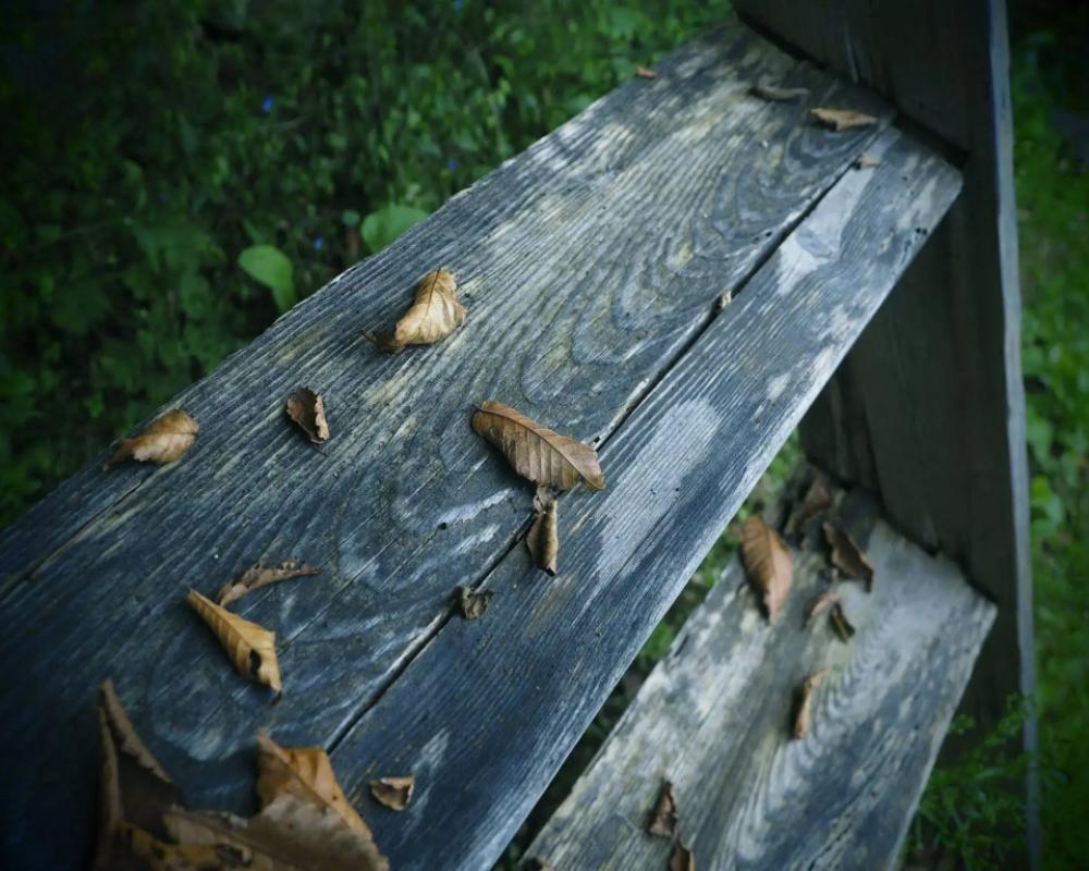 фото Kominka Yado LOOF Sakanoie