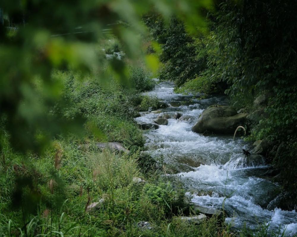 фото Kominka Yado LOOF Sakanoie