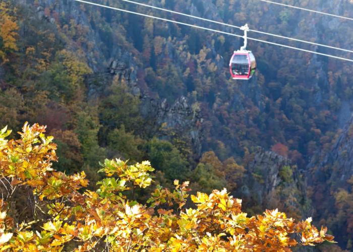 Pension Waldoase Hirschbüchenkopf