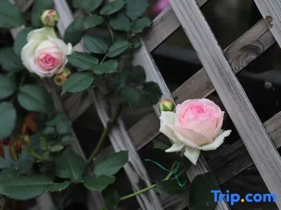 Yongzhou Xiju Characteristic Homestay