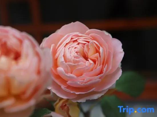 Yongzhou Xiju Characteristic Homestay