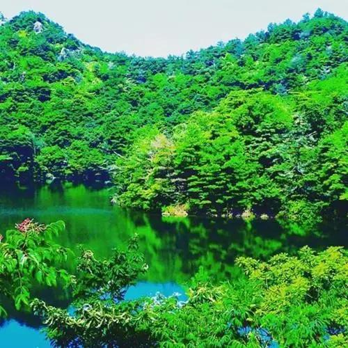 фото Soufusha