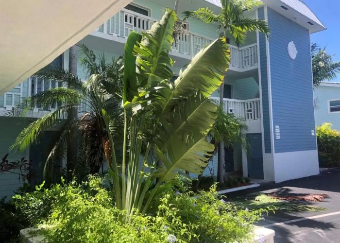 Dolphin Cove - Adults Only