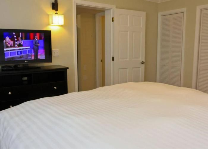 Dolphin Cove - Adults Only