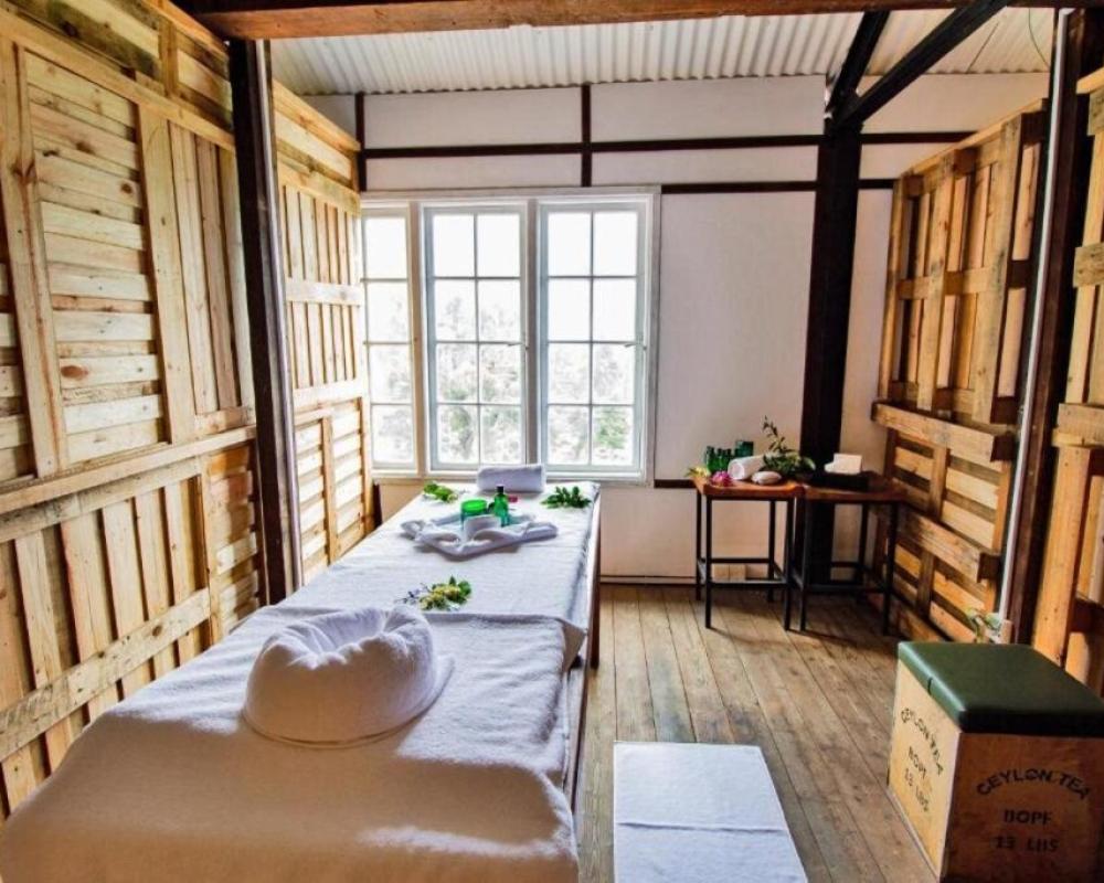 Tea & Experience Factory