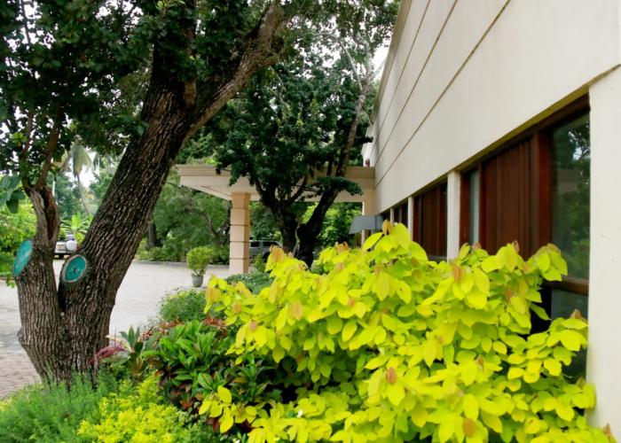 Jade Green Hambantota Hotel