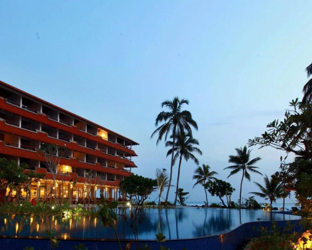 Hikka Tranz by Cinnamon