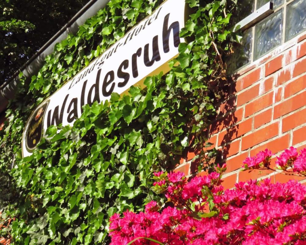 Land-Gut-Hotel Waldesruh