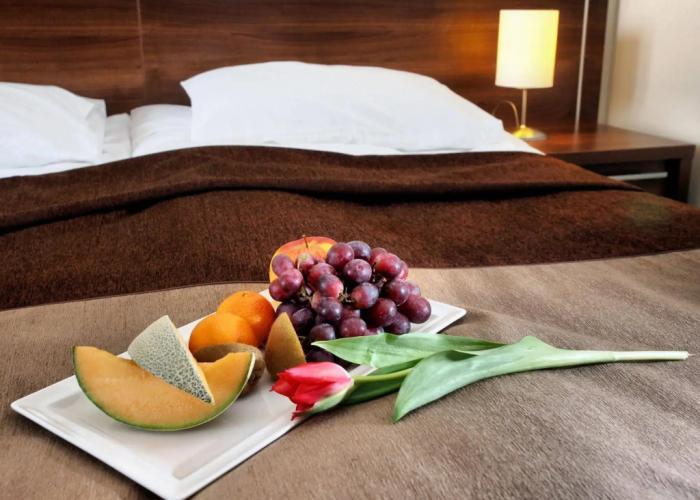 Hotel Austeria Conference & Spa