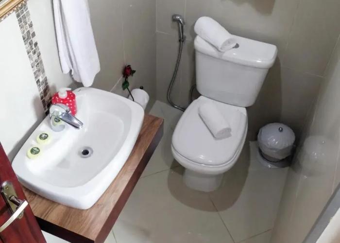 Pousada Suiça Mineira