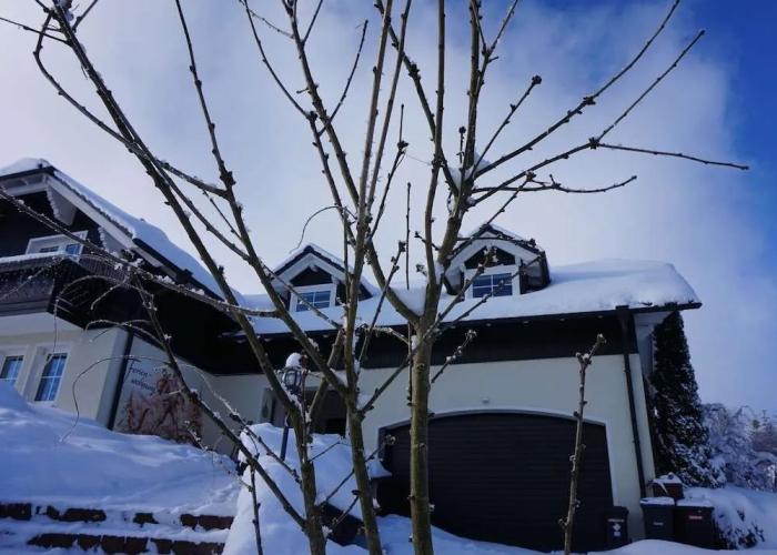 Fantastic Apartment in Frauenwald near Forest