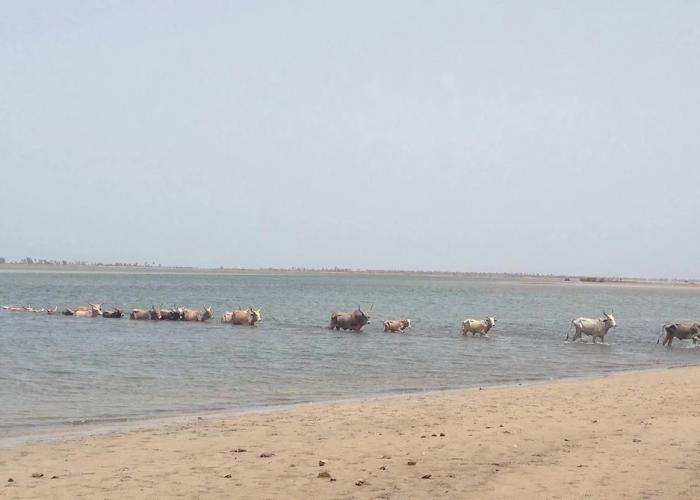 L'Ecolodge de Simal