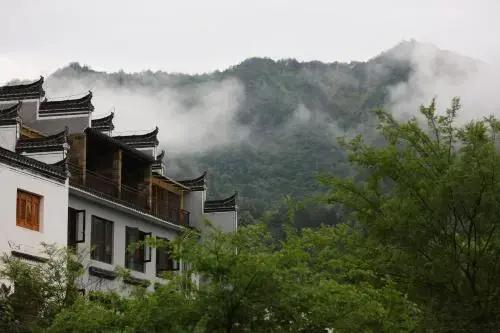 The Moon House