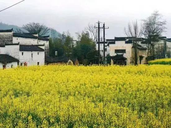 Wuyuan waiting for your homestay