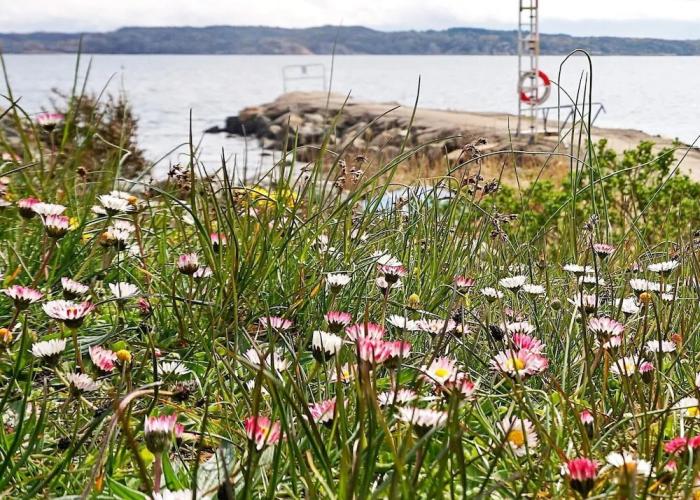 4 Person Holiday Home in Lysekil-by Traum