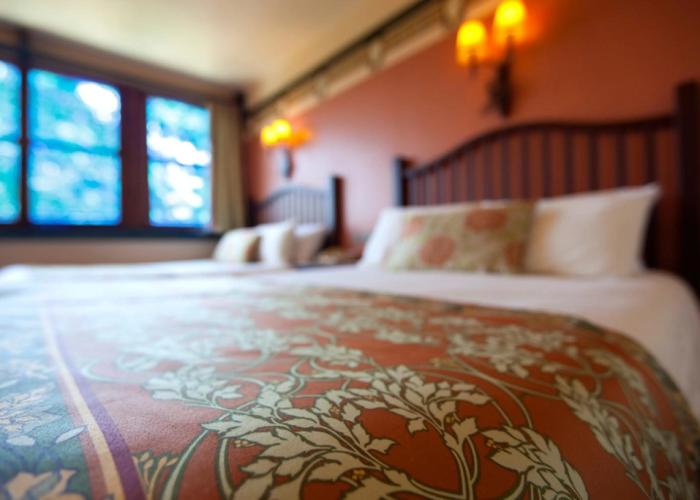 Disney Sequoia Lodge