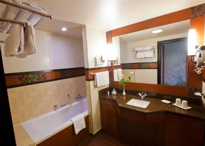Disney Sequoia Lodge