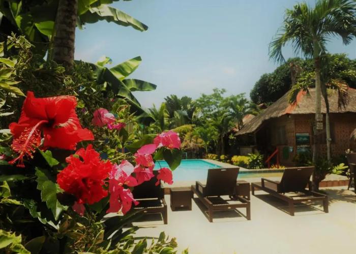 Island Tiki Paradise Resort