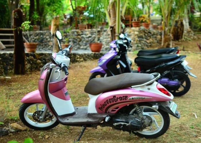 Toris Backpackers Paradise