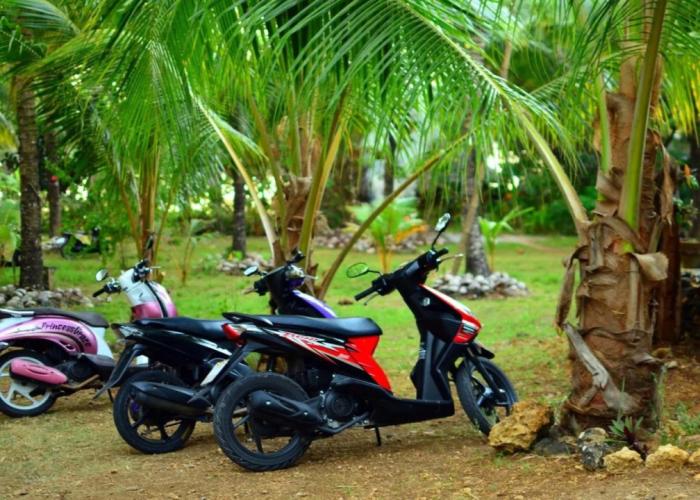 Toris Backpackers Paradise