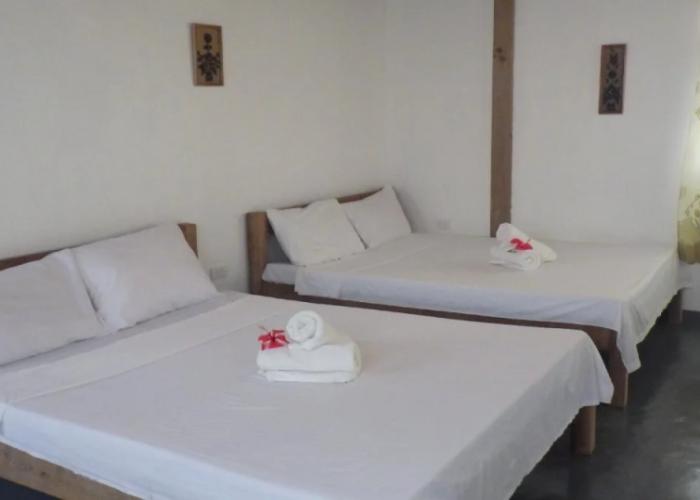Toris Backpackers Paradise