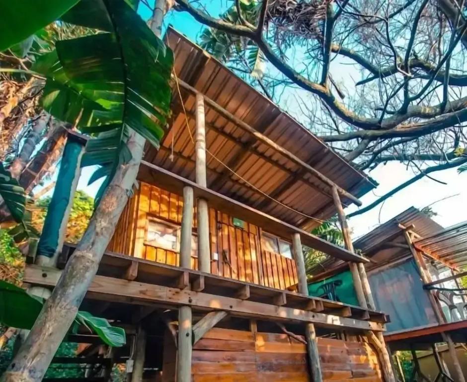 Mantis and Moon Backpacker Lodge