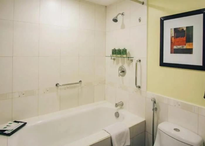 Greenhills Elan Hotel